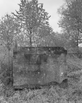 Jahrgang Vierzehn Ostkreuzschule für Fotografie