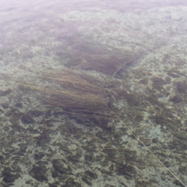 Jahrgang Vierzehn Ostkreuzschule für Fotografie